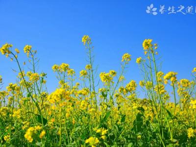 美媒：腦子太亂也能速睡