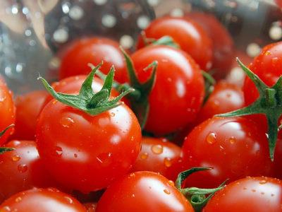 圣女果學(xué)名：圣女果，英文：Cherry Tomatoes