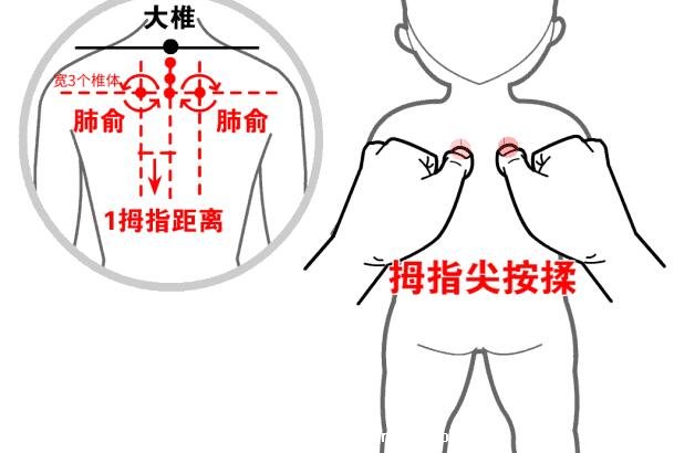 穴位肺俞的準確位置圖片和功效，2個找肺俞最笨方法(止咳化痰)