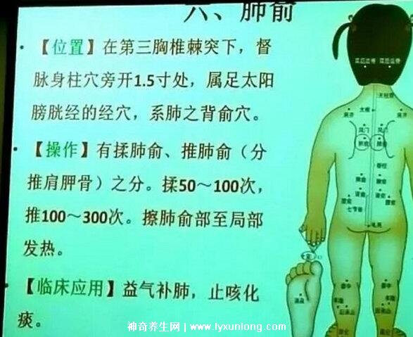 穴位肺俞的準確位置圖片和功效，2個找肺俞最笨方法(止咳化痰)