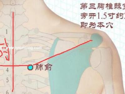 穴位肺俞的準(zhǔn)確位置圖片和功效，2個(gè)找肺俞最笨方法(止咳化痰)