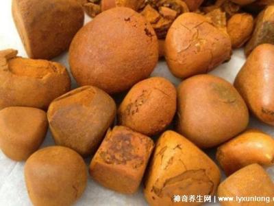 牛黃是什么東西多少錢一克，牛膽囊的膽結(jié)石500元/克(圖片)