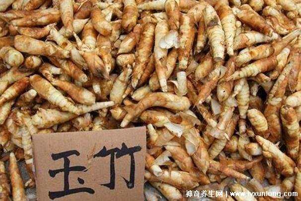 三種人不能吃玉竹,痰濕氣滯/脾虛便溏/陰虛內寒要忌口-易網健康<a href=http://www.weilaijie.cn/jkys/ target=_blank class=infotextkey>養生</a>網 三種人不能吃玉竹,痰濕氣滯/脾虛便溏/陰虛內寒要忌口