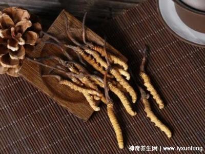 夏枯草專治十種病，甲狀腺腫/黃疸型肝炎/高血壓(功效主治)