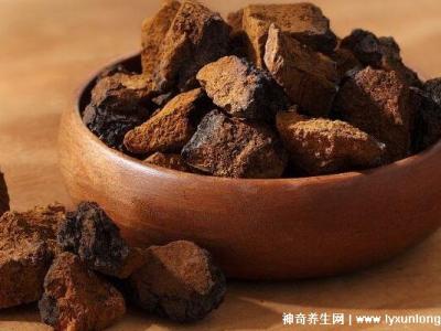 喝了4個(gè)月樺樹茸血糖升高，正確服用會(huì)降血糖(3大因素影響)