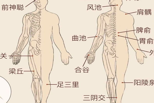 找腎俞的最簡單的方法