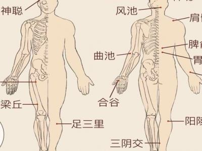 肝經是什么意思