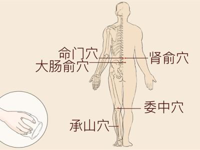 迎香穴的位置
